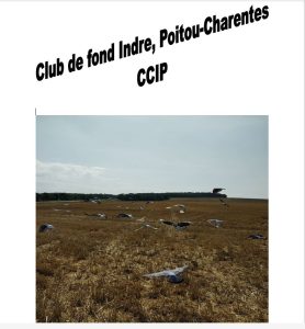 Vente de Bons : C.C.I.P. – CLUB de Fond  INDRE  POITOU-CHARENTES (17) MATHA