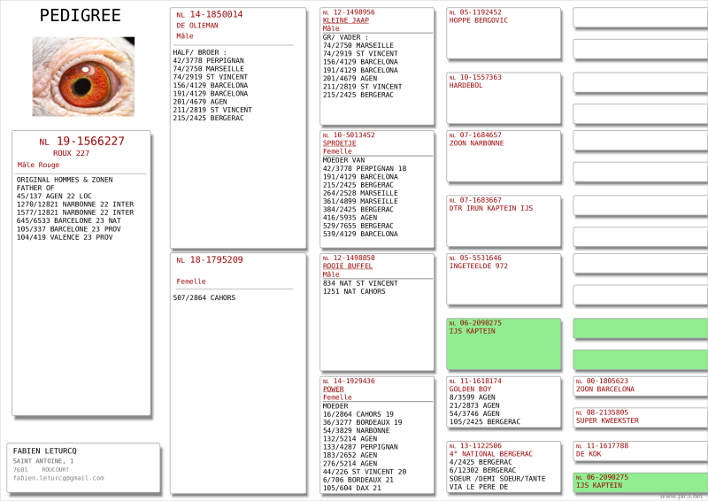 Pedigree_19-1566227