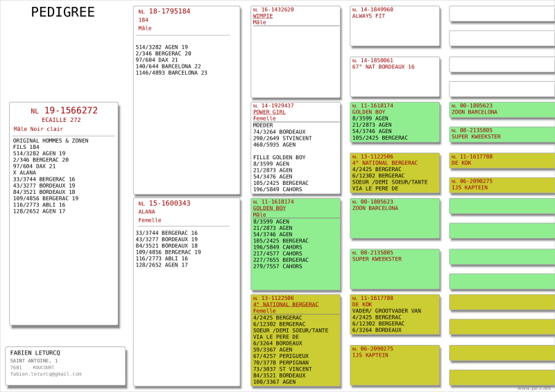 Pedigree_19-1566272