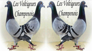 Vente de Bons : Les Voltigeurs Champenois de COURCY