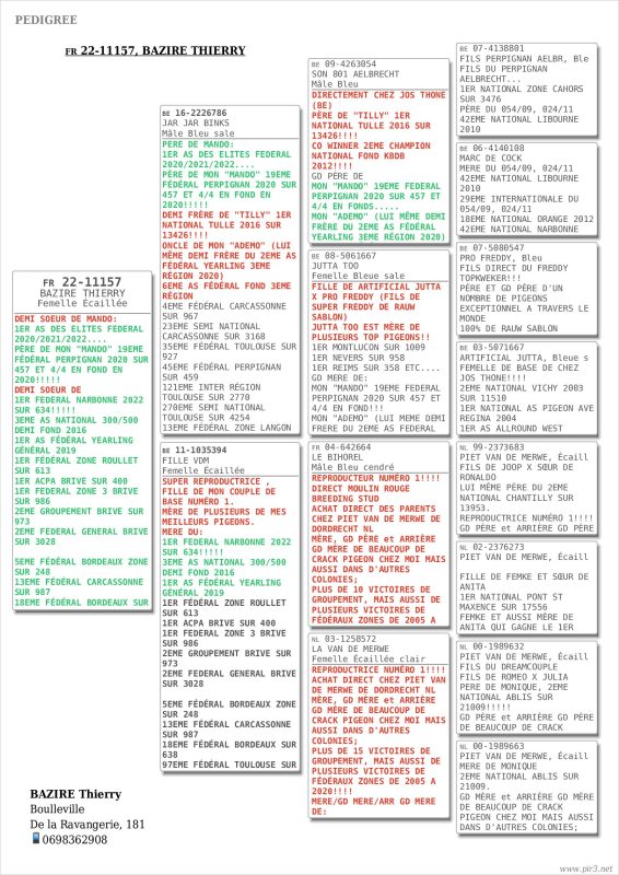 Pedigree_22-11157