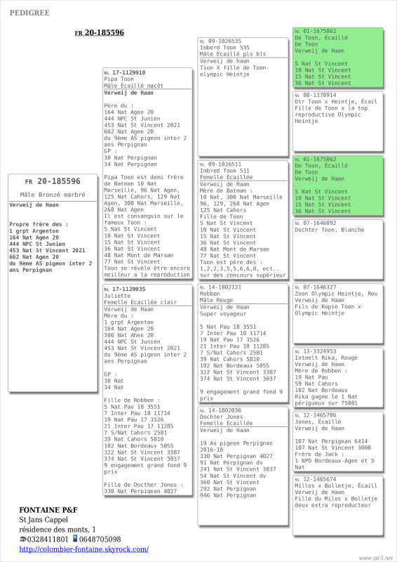 Pedigree_20-0185596