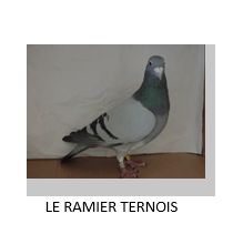 Vente de Bons : Le Ramier Ternois – TERGNIER