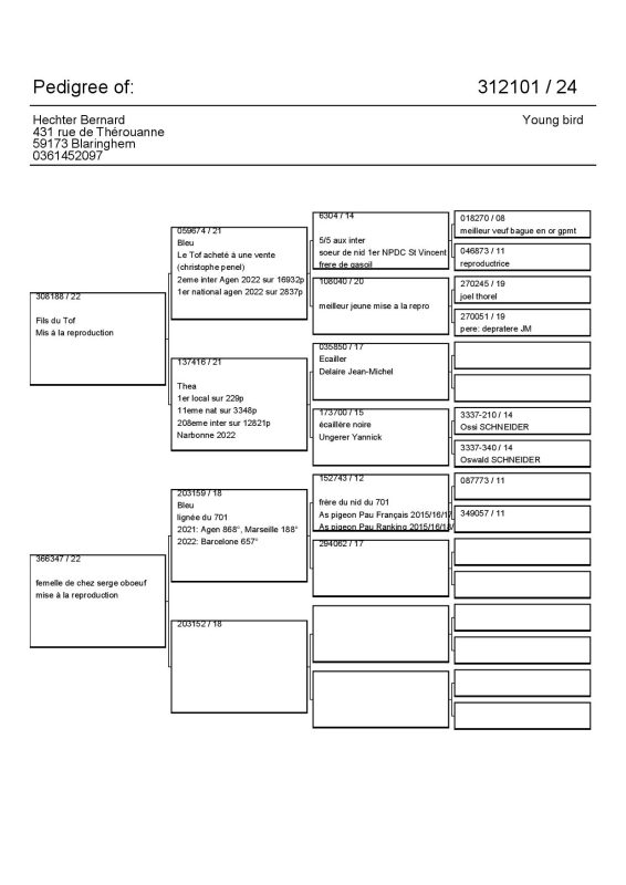 Hechter Pedigree 2024 312101