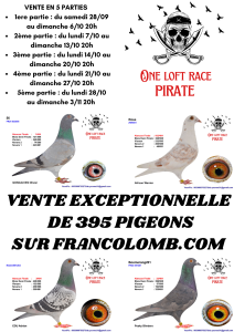 Vente de Bons : LOFT PIRATE – 3