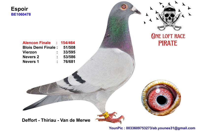 N° 65 : BE24-1060478 Femelle Defoort – Thiriau – Van De Merwe