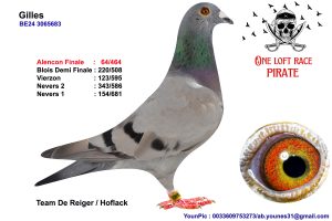 N° 74 : BE24-3065683 Femelle Team De Reiger / Hoflack