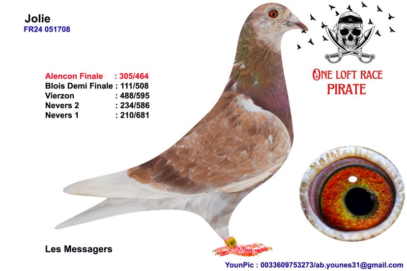 N° 14 : 24-51708 Femelles Les Messagers