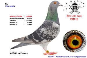 N° 20 : 24-95654 Mâle MCRG Les Plumes