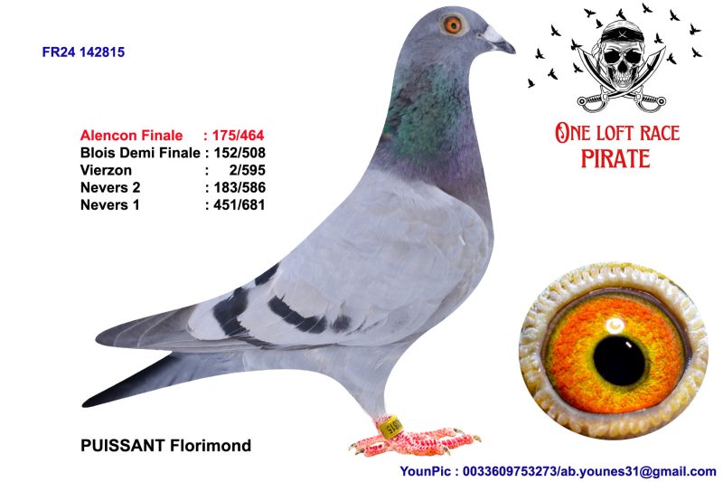 N° 43 : 24-142815 Femelle  PUISSANT Florimond