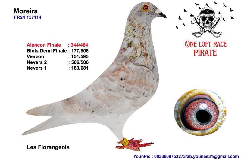 N° 44 : 24-157114 Mâle Les Florangeois