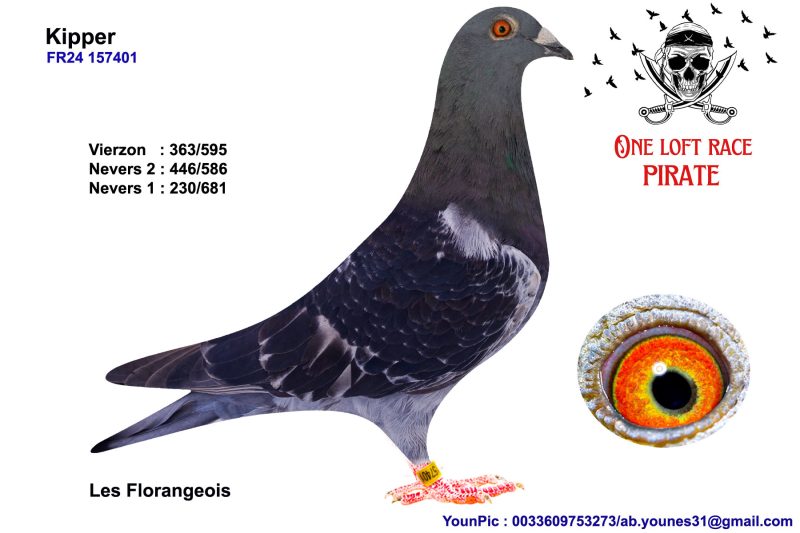 N° 46 : 24-1574011 Femelle Les Florangeois