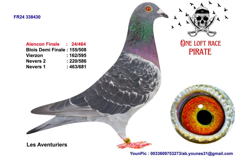 N° 60 : 24-338430 Mâle Les Aventuriers