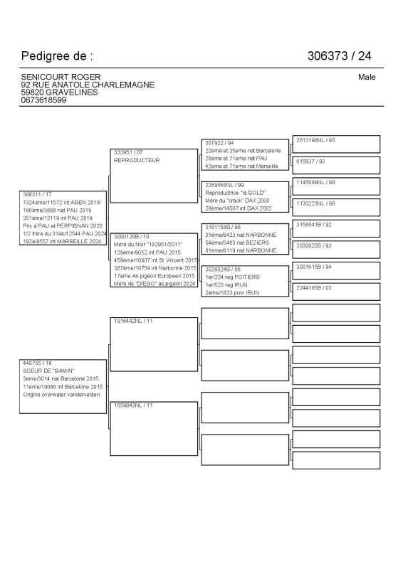 Senicourt Pedigree 2024 306373