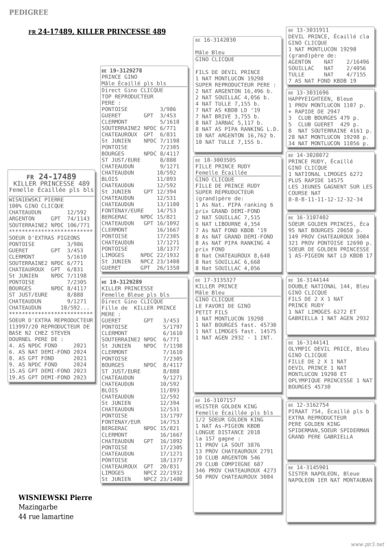 Pedigree 24 17489