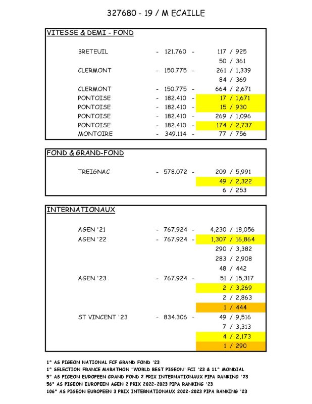 327680 Palmares2