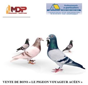 Vente de Bons : Le Pigeon Voyageur Acéen – ACY (02)