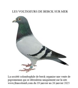 Vente de Bons : Les Voltigeurs de BERCK SUR MER