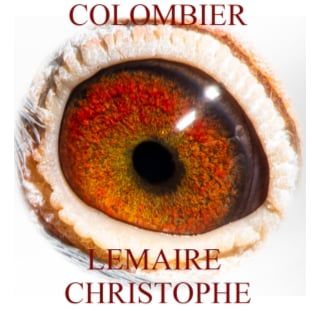 N° 66 : Christophe LEMAIRE