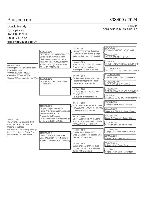 Goudu Pedigree 333409 