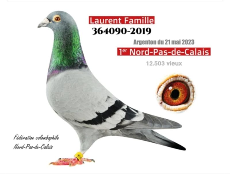 Laurent Famille